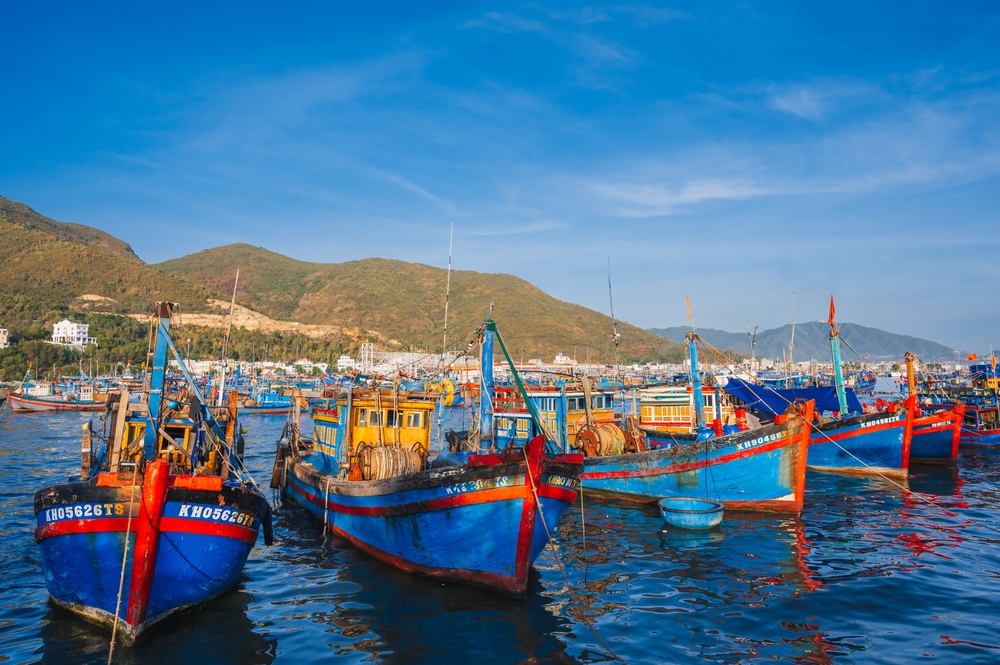 Over 500 Fishing Vessels in HCM City Affected by VNPT Tracking System Disruption