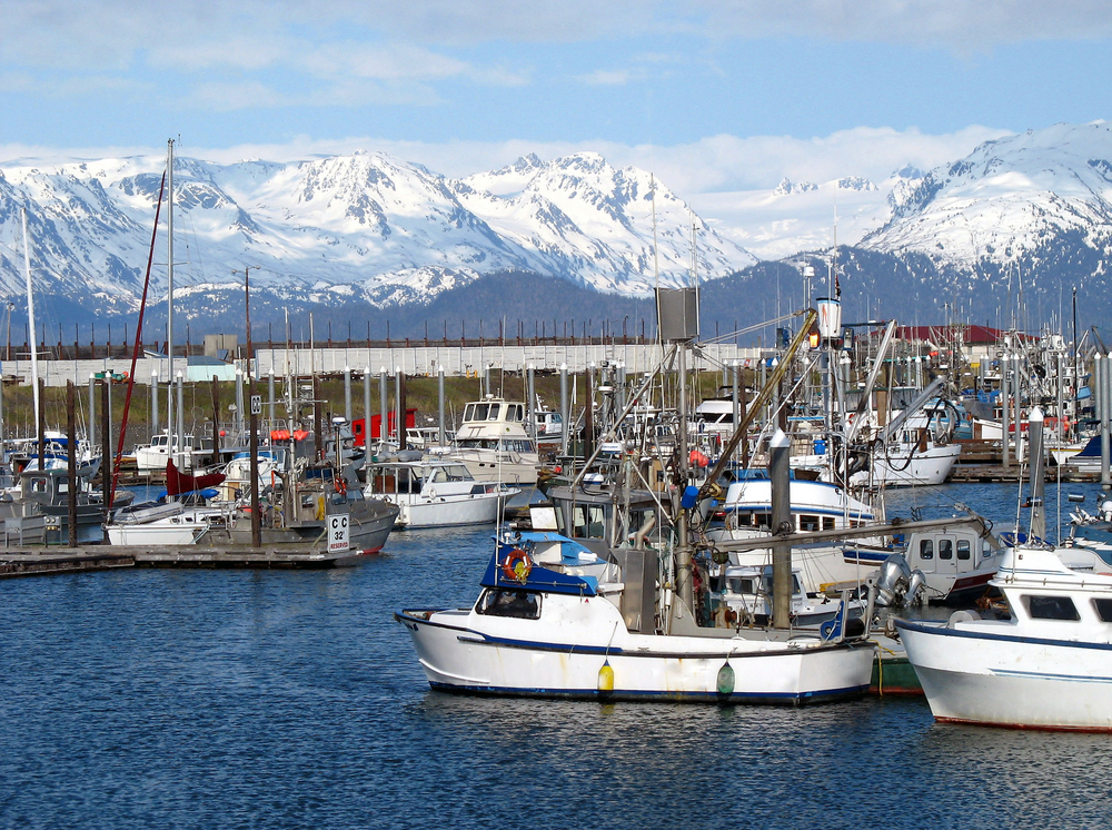 Four Sitka Sport Fishers Hit Tuna Jackpot