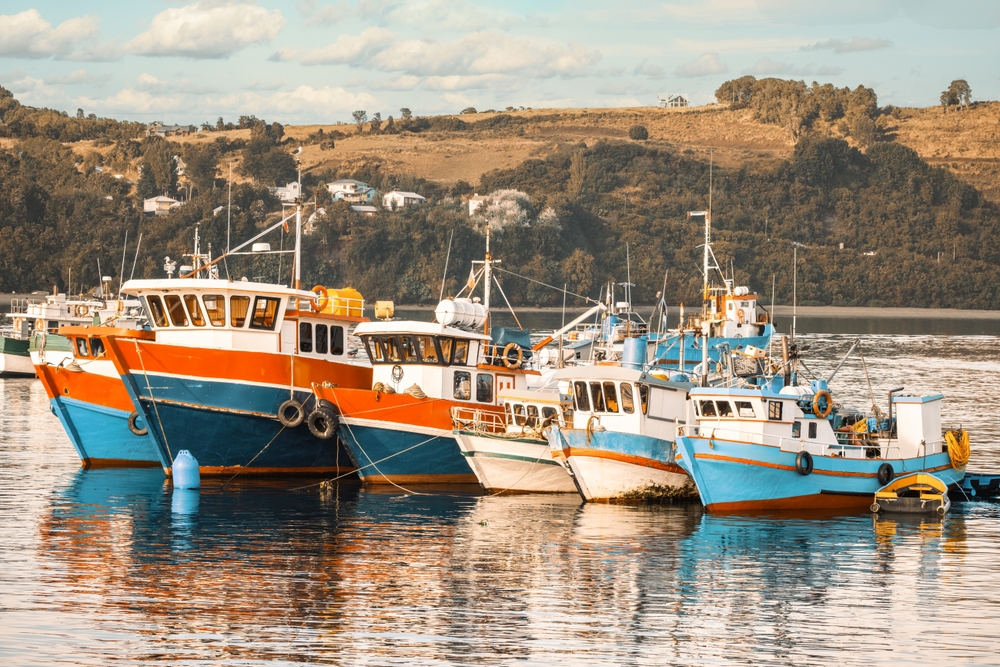 Subpesca Sector Report: Chilean Landings Reach Their Highest Level in Five Years