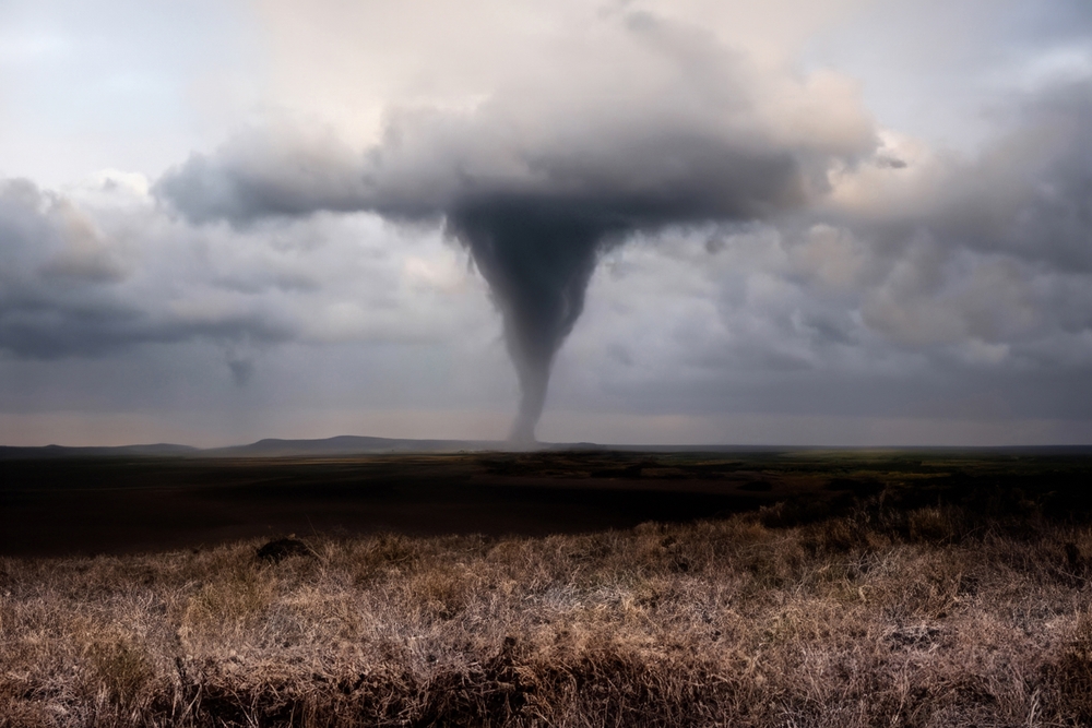 Extreme Weather Is Driving Global Food-Price Spikes, Report Says