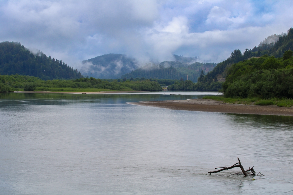 A River Restoration in Oregon Gets Fast Results: The Salmon Swam Right Back