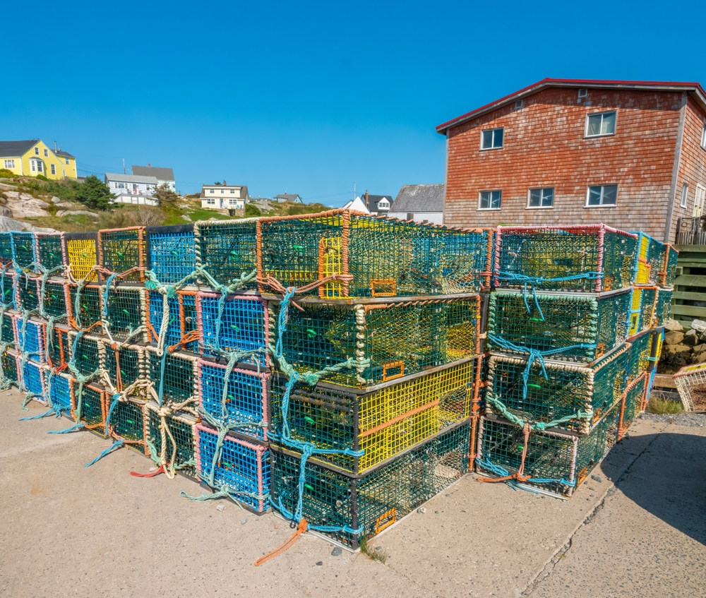 Its Making it Really, Really Hard; Lobster Prices Plummet in Southwestern Nova Scotia