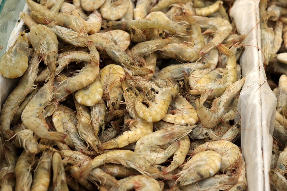 US Maintains Surcharge on Ecuadorian Shrimp Despite Tariff Changes