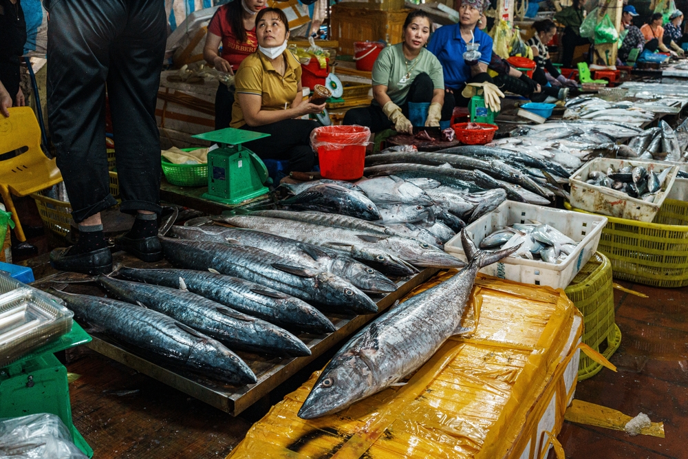 Vietnamese Seafood Struggles to Find its Place at Home