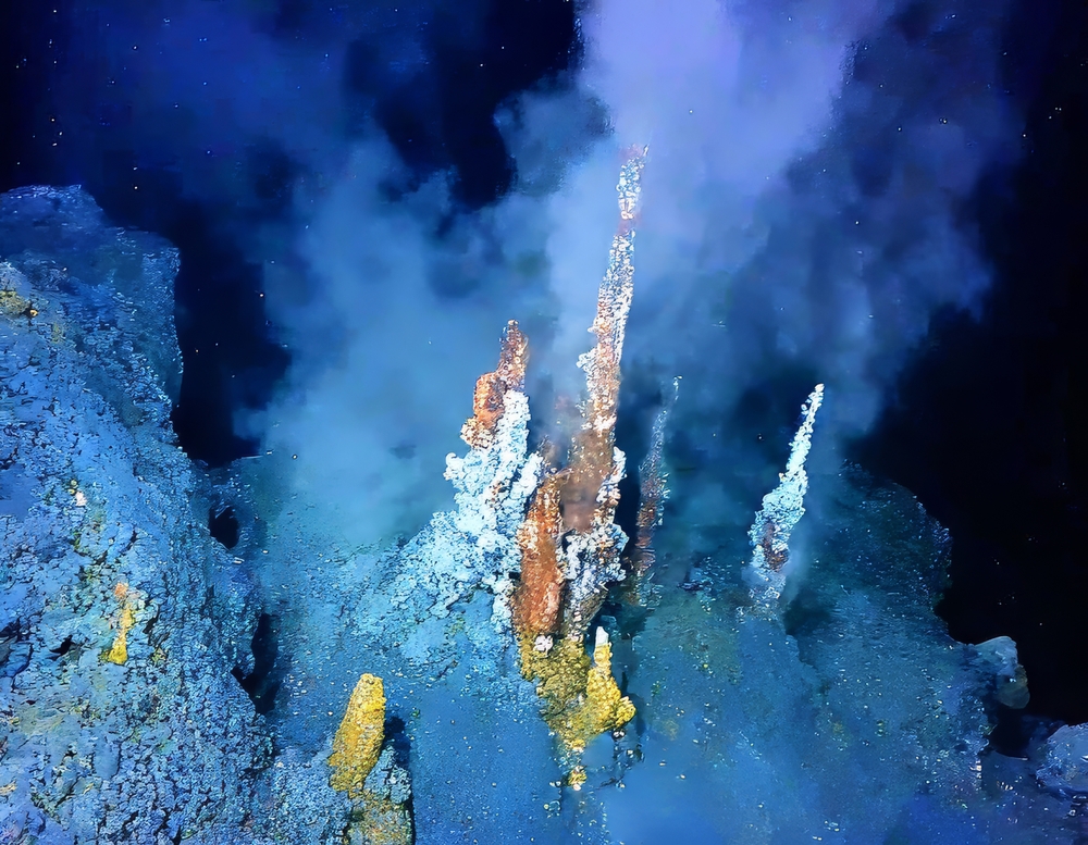 Deep-Sea Mining Risks Disrupting the Marine Food Web, Study Warns