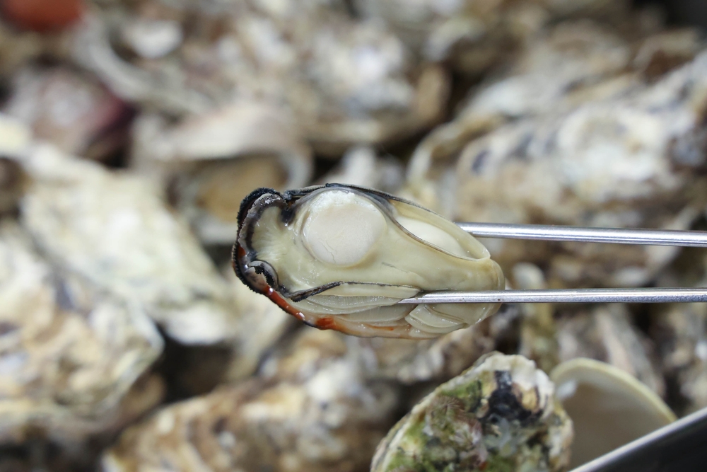 FDA Expands Recall Dates for Korean Frozen Oysters Linked to Norovirus Concerns