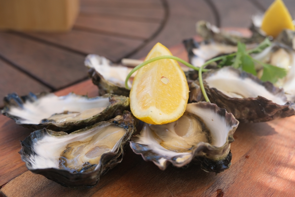 Views Differ on Prospects of Oyster Farming in Bay