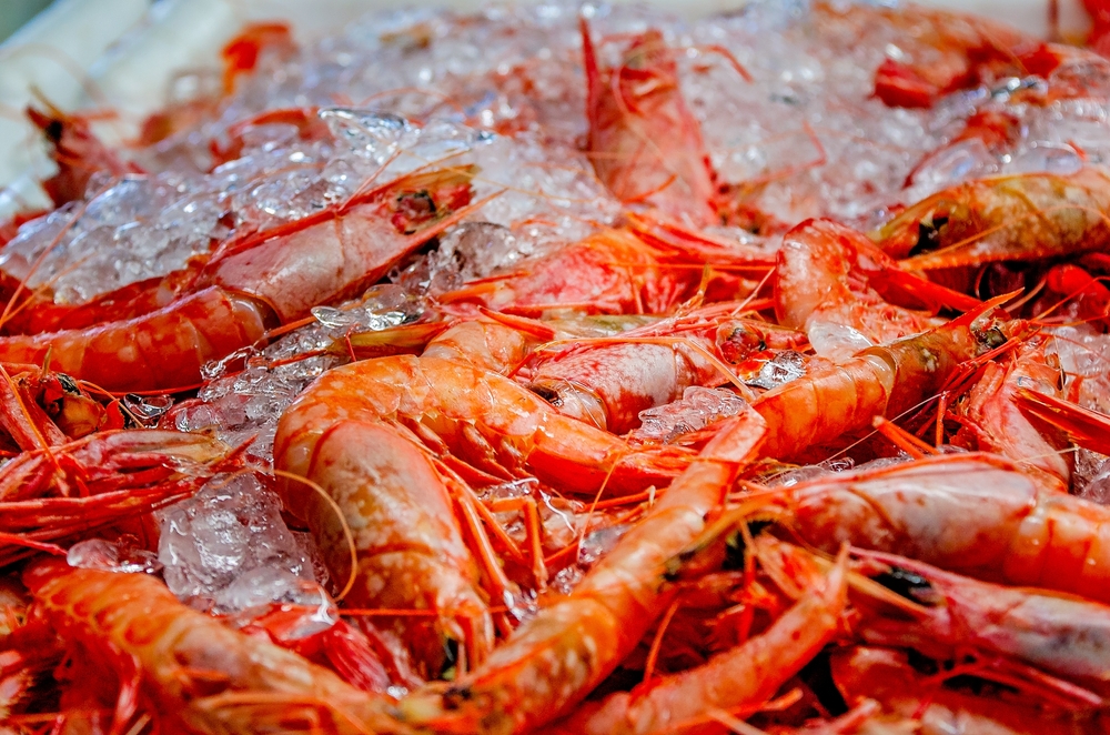 Commissioner Sid Miller Declares Support for Federal Intervention in the Gulf Shrimp Industry