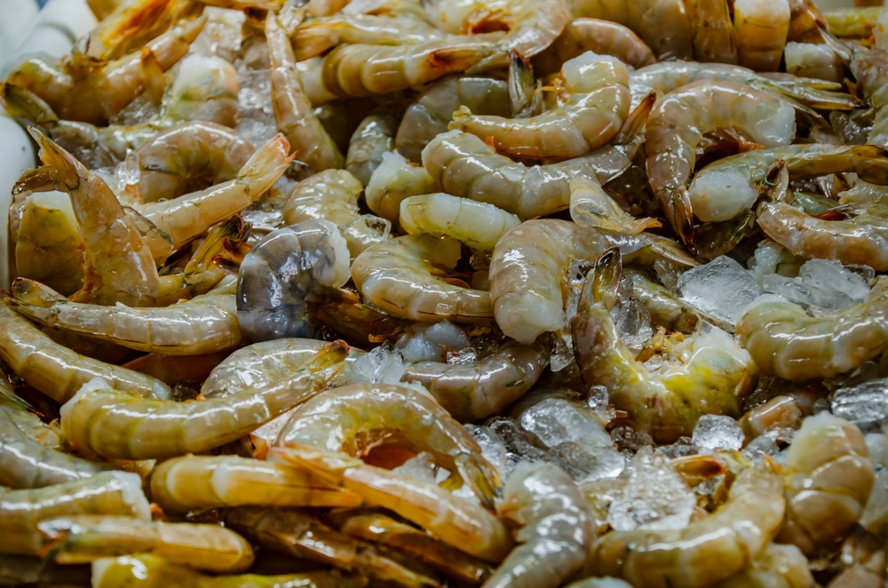 Jazz Fest Bucks National Trend by Serving Real Gulf Shrimp, New Testing Shows