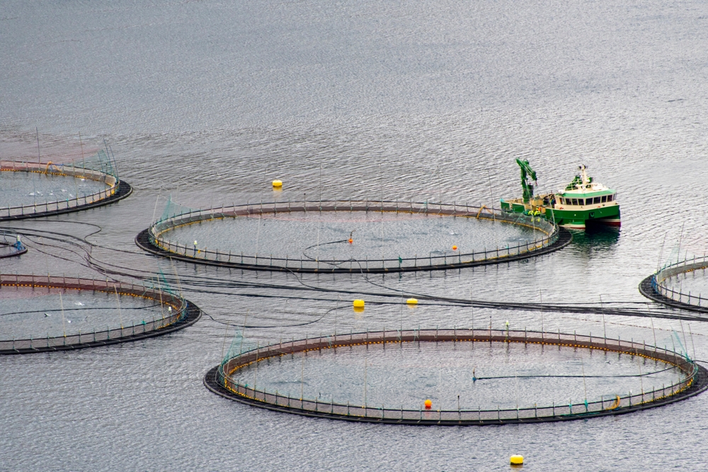 NAA Urges Senate to Strip Commercial Fishing Vessel Loans From Farm Bill