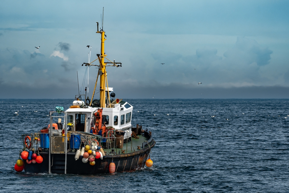 Brexit Has Done Nothing to Stem Sharp Decline of UK Fish Populations, Shows Study