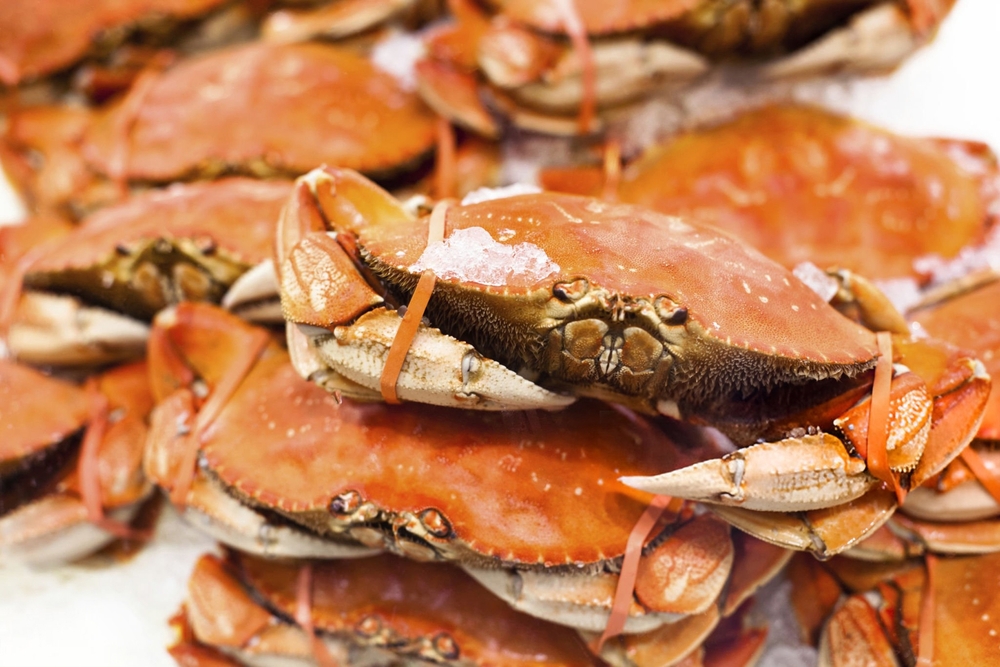 Oregon Adopts Electronic Monitoring Rule for Commercial Dungeness Crab Fleet