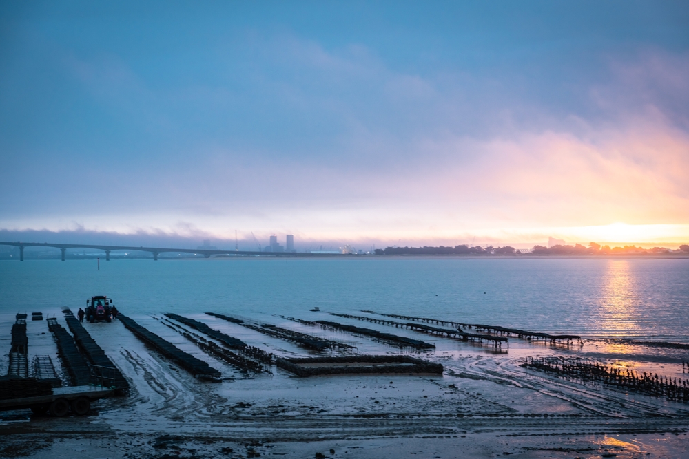 A Little Goes a Long Way: How Small Programs Are Educating Communities About Farmed Seafood- NMFS