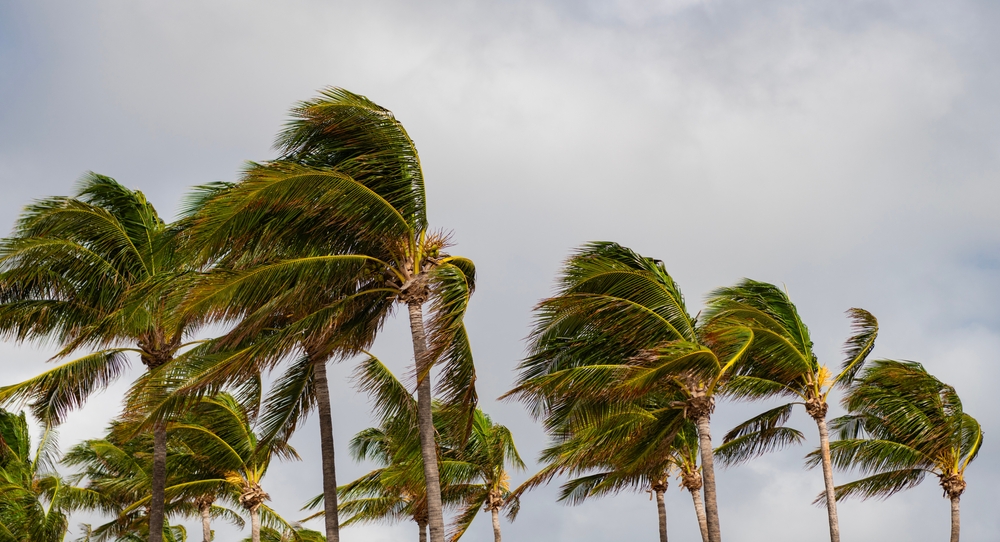 USDA Offers Disaster Assistance to Agricultural Producers in Hawaii Impacted by Hurricane Lala