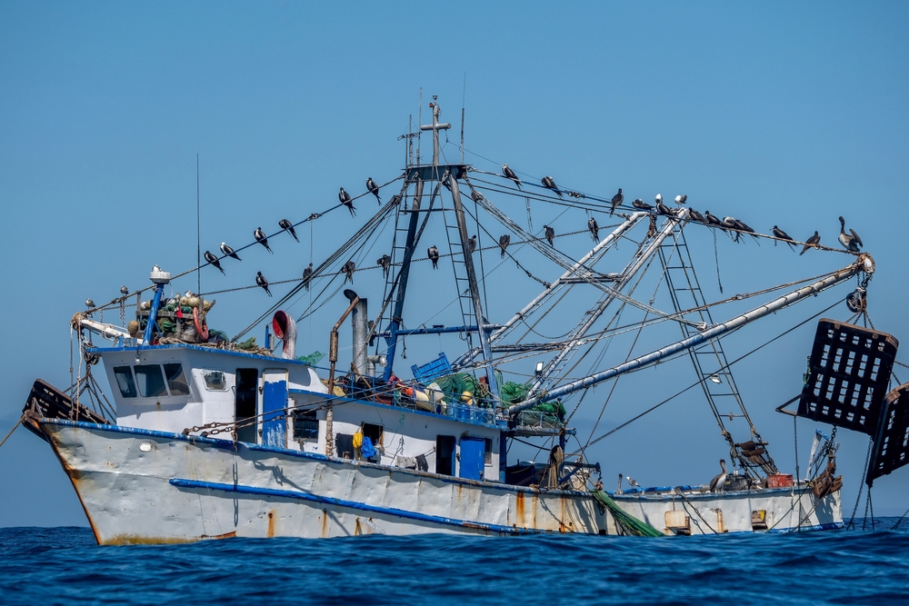 Walton Family Foundation Spotlights Baja Fishing Communities in New Human Nature Series