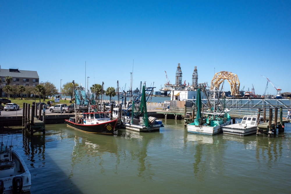 How Americas Fisheries Rebounded from Collapse and Over-regulation