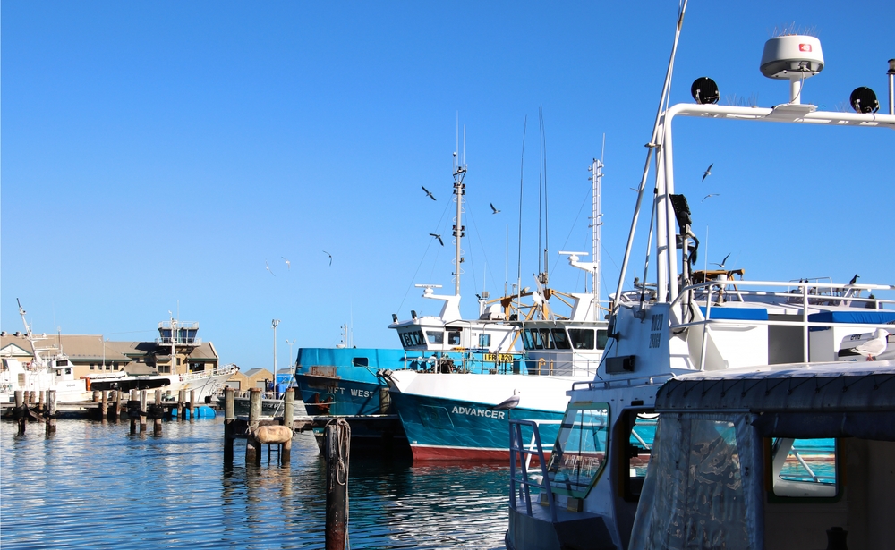 Diners and Commercial Fishers to Feel Impact of WA Demersal Fishing Ban