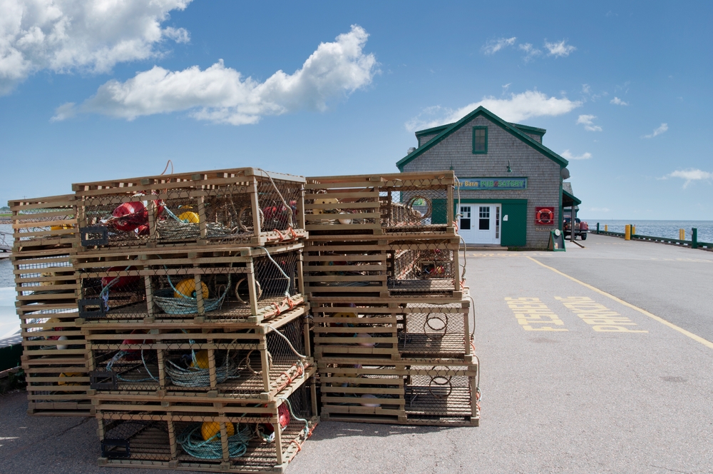 Blaming Low P.E.I. Lobster Prices on Tariff Fears Not a Good Excuse, Says Marketing Board
