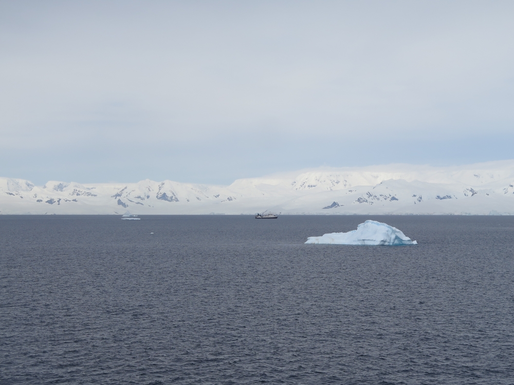 India Plans to Issue Krill Fishing Permits for Antarctic Waters