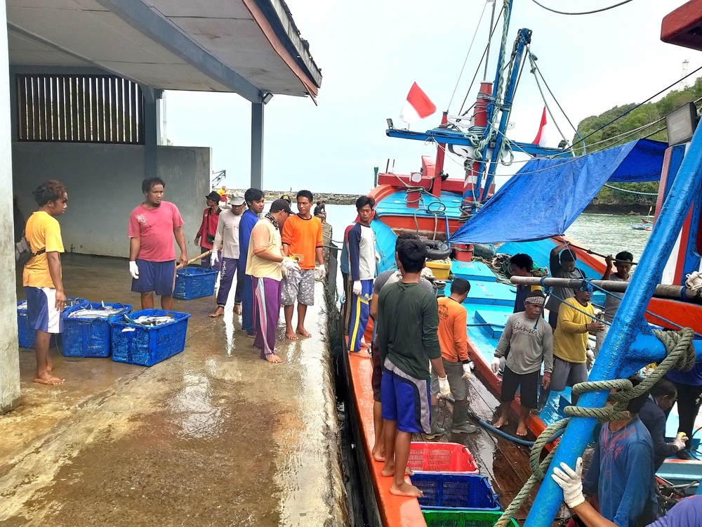 US Tariff High, India’s Seafood Exports to Other Nations up 16%