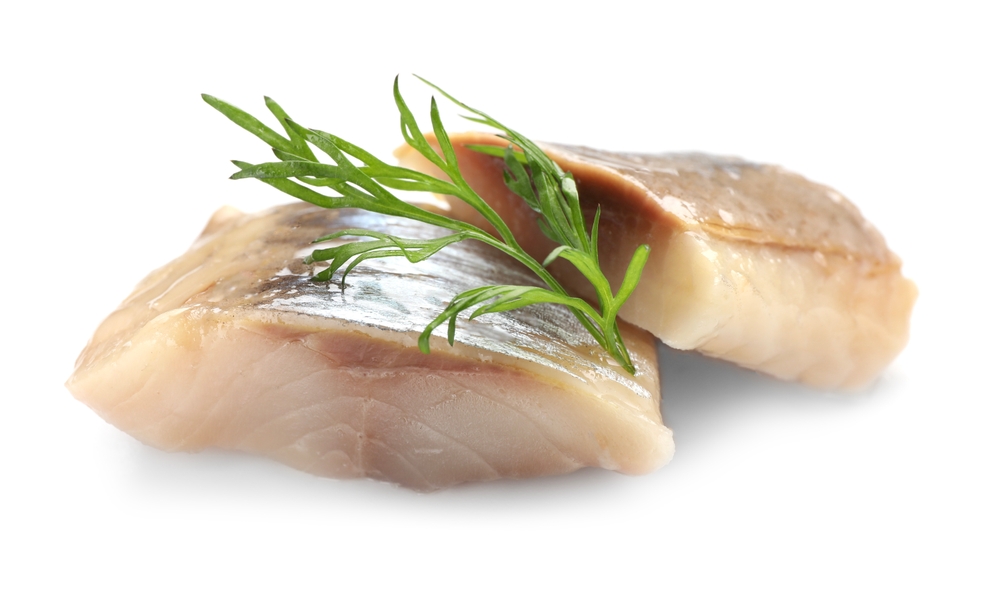 Feds Ignore Calls for Moratorium, Approve Commercial Herring Fishing