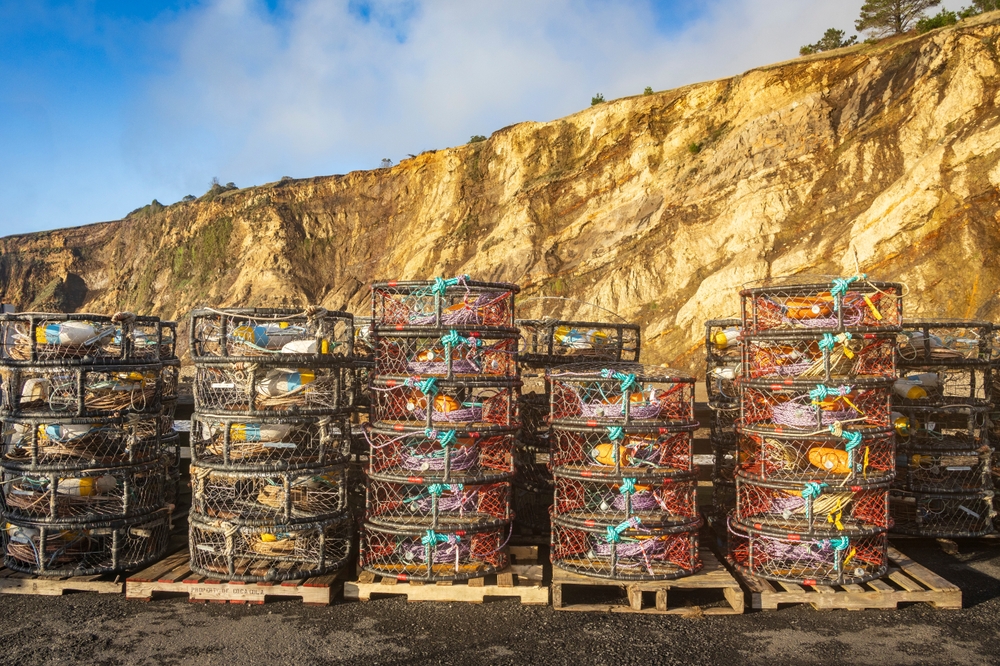 Local Fishers Need Your Support to Continue Bringing Food to Tables, Especially During the Holiday