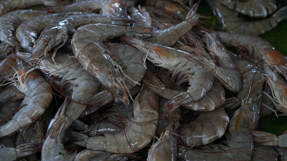 US FDA Slaps New Requirements for Indonesias Shrimp and Spices After Radioactive Contamination