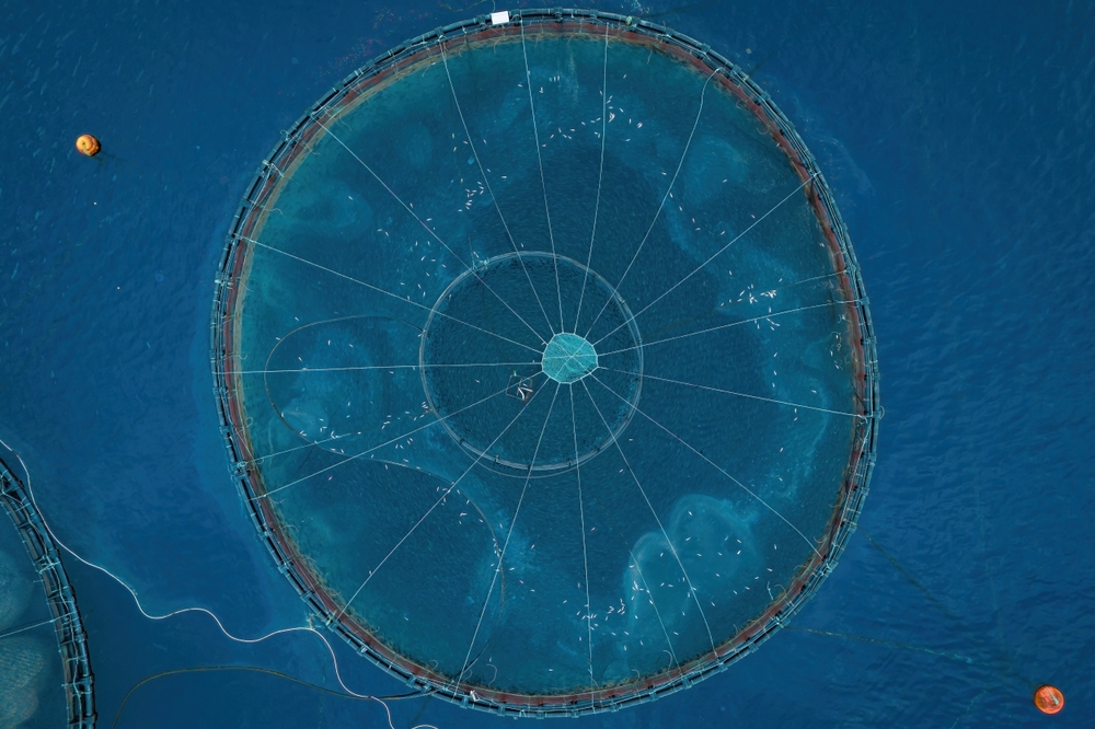 140 Signatories Call on Lawmakers to Advance US Offshore Aquaculture Bill