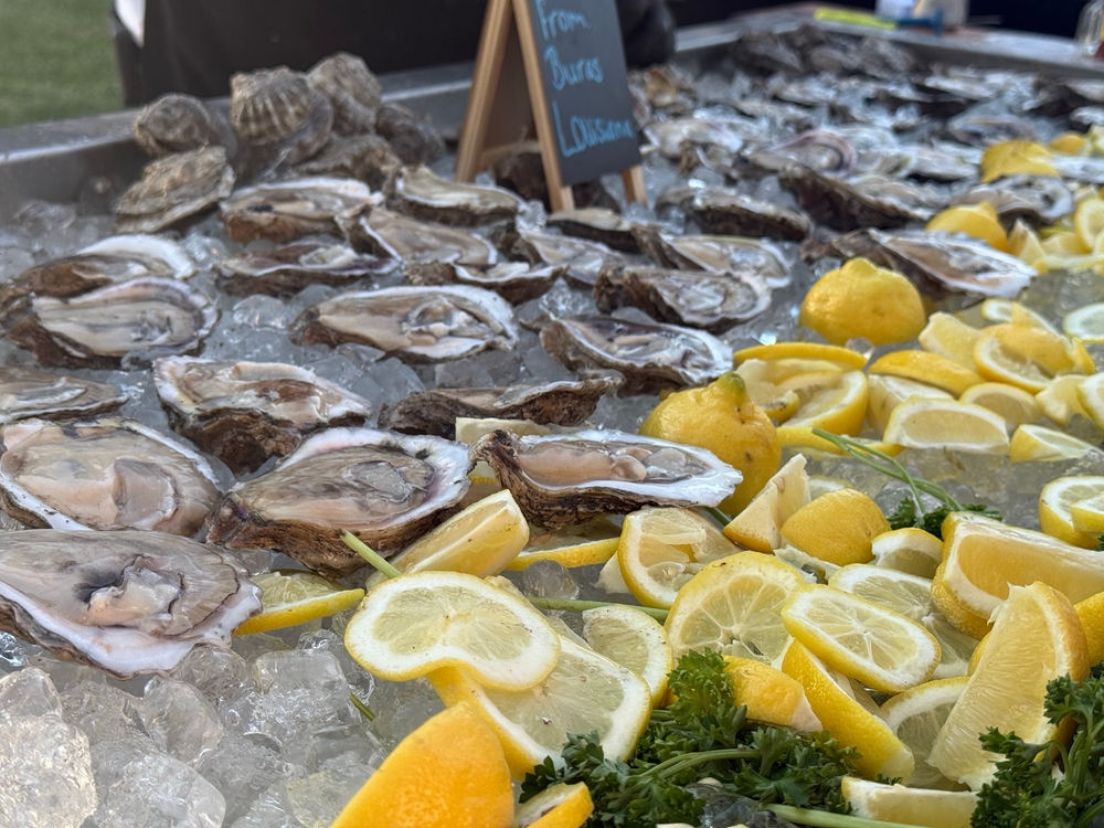 Louisiana Fishermen Facing State and Federal Scrutiny Over Oyster Harvesting Compliance