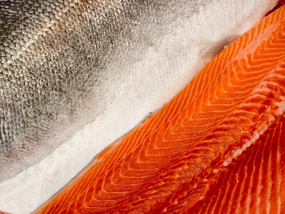 Japans Salmon Imports Soared 40% for Frozen Chilean Coho, Sockeye Plummeted 80% in June
