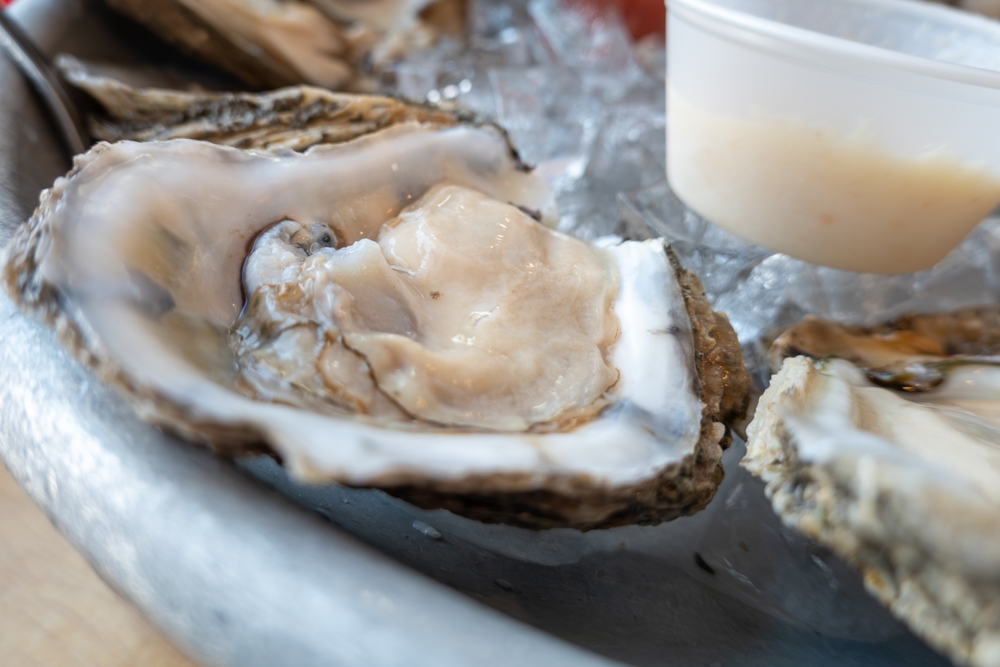 US Labor Secretary Visits Cambridge Oyster Hatchery on Workforce Tour