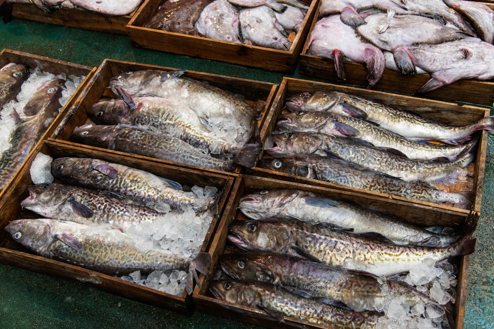 Assembly to Decide Whether to Accept P-Cod Disaster Money