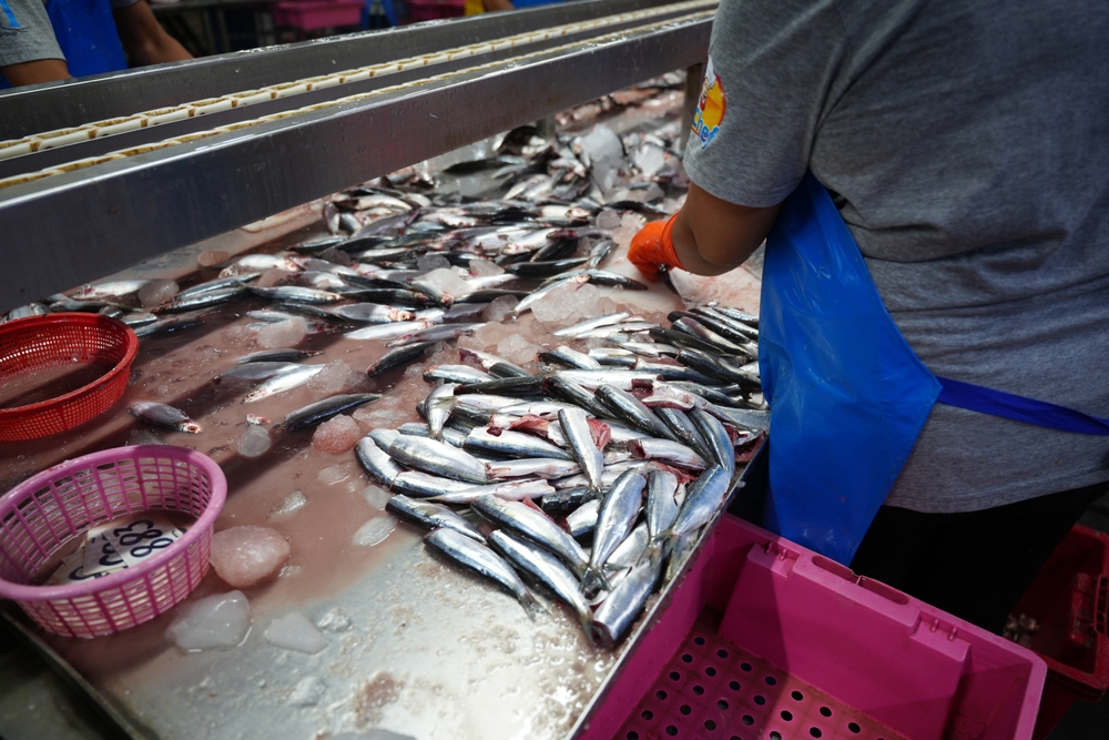 Congress Presses USTR to Launch Section 301 Investigation Into Unfair Seafood Trade Practices