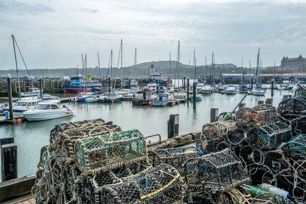 Warming Seas and Overfishing Blamed for Sharp Drop in Crab Landings in Yorkshire