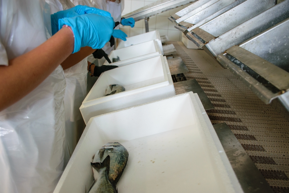 Russia Lifts Seafood Restrictions on Five Chilean Processing Facilities