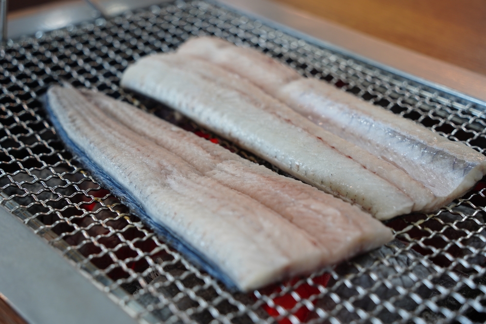 Eel Populations Are Falling, and New Protections Were Defeated. Japan and the US Opposed Them