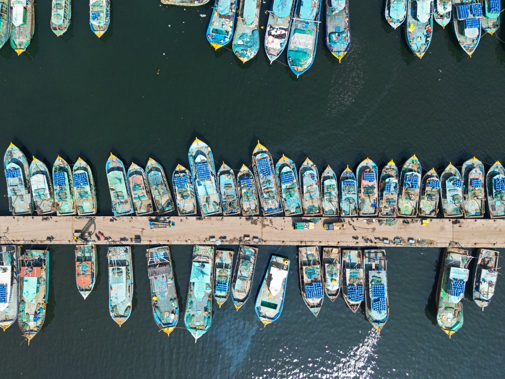 India to Develop E-Observer System for Remote Monitoring of Fishing, Says Union Fisheries Secretary