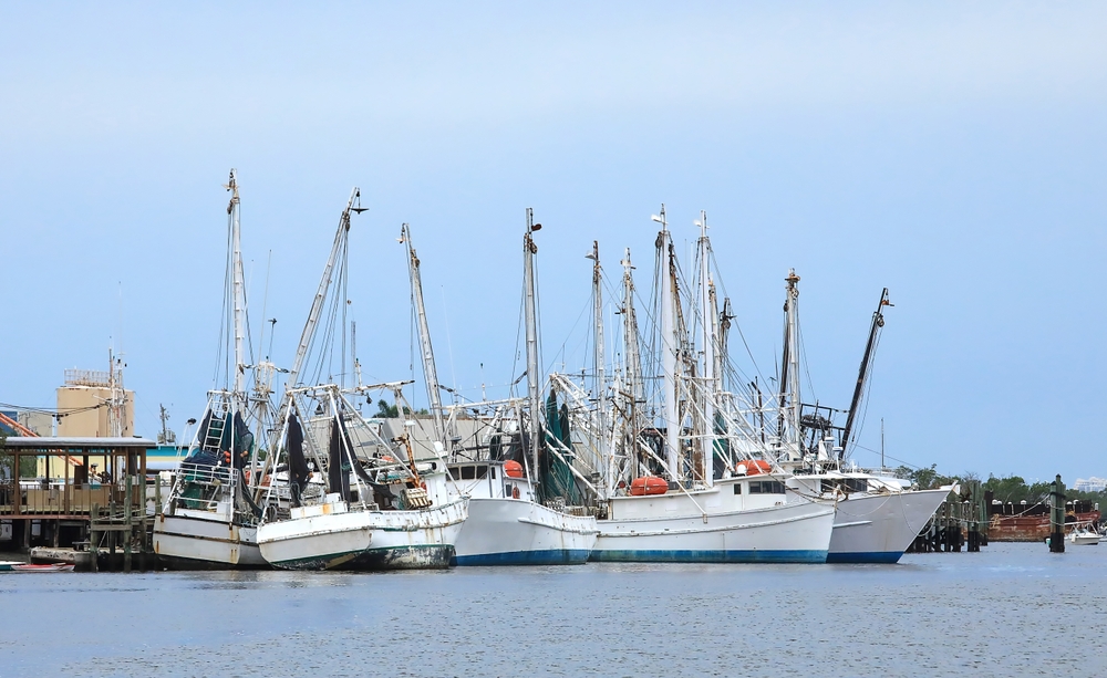 Council Members with Financial Ties to Vote on Reopening Protected Coral Reef to Shrimp Trawling