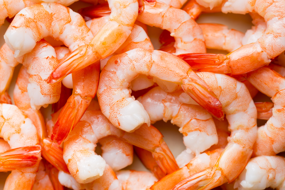 The Winding Glass: $1 Billion Tariff Hit to Shrimp Industry Will Lead to Downturn in 12 Months