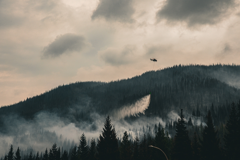 Newfoundland Fishers Donate Cod to Those Who Lost Everything in Summer Wildfires