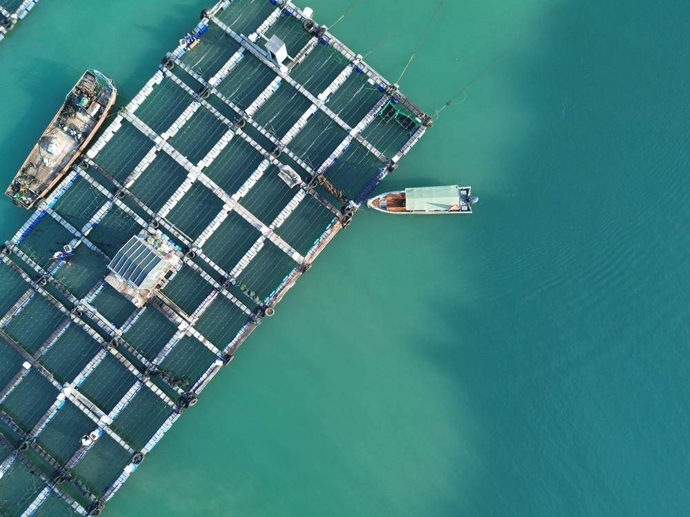 Aquaculture Booms Across Asia as Marine Capture Fisheries Stagnate: Study