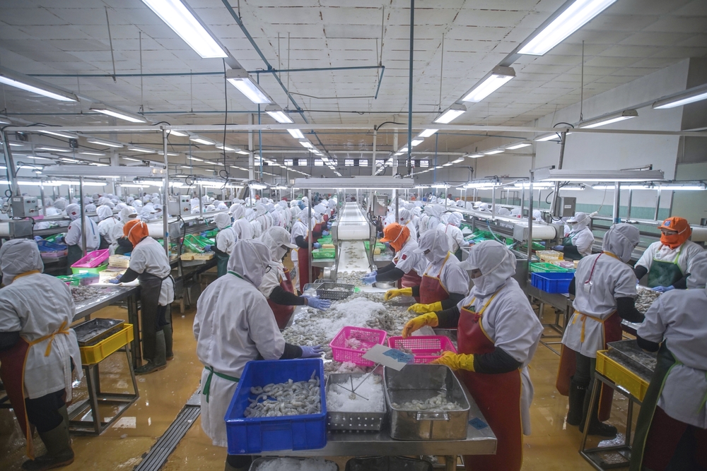 Indonesia Targets Stronger Seafood Exports with 2026 Strategy