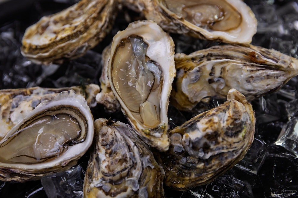 PEI Targets Oyster Industry Stability with Wage and Debt Relief