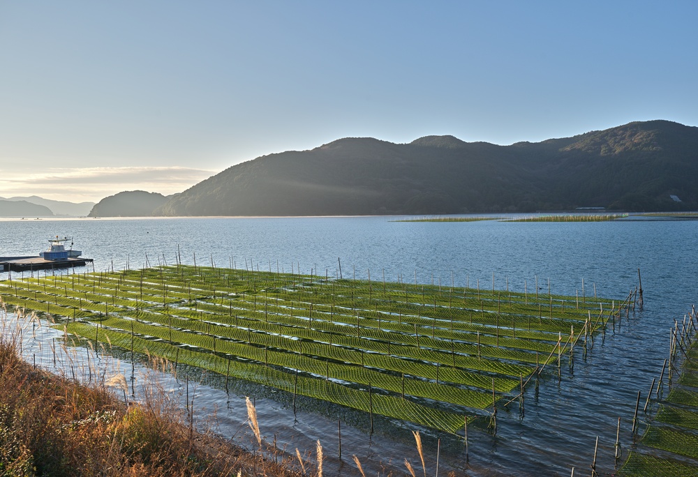 Copernicus Data Supports Aquaculture Planning as Ocean Conditions Shift