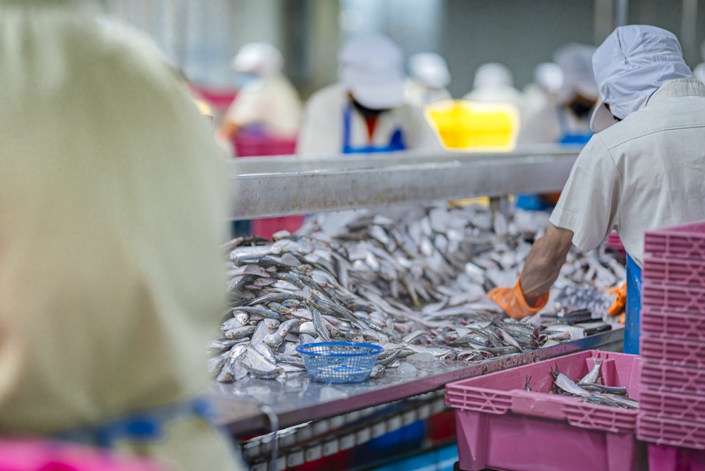 Ambienta Acquires Four Aquaculture Technology Companies to Build Nordic Platform