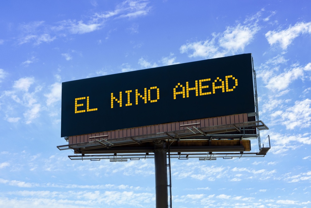 NOAA Warns Strong El Niño Will Reshape US Fisheries, From West Coast Tuna and Squid to Gulf Oysters