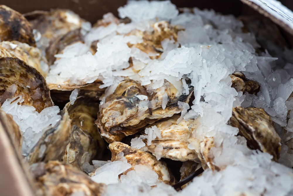 P.E.I. Company Seeks Approval to Import Disease-Resistant Oyster Stock From US