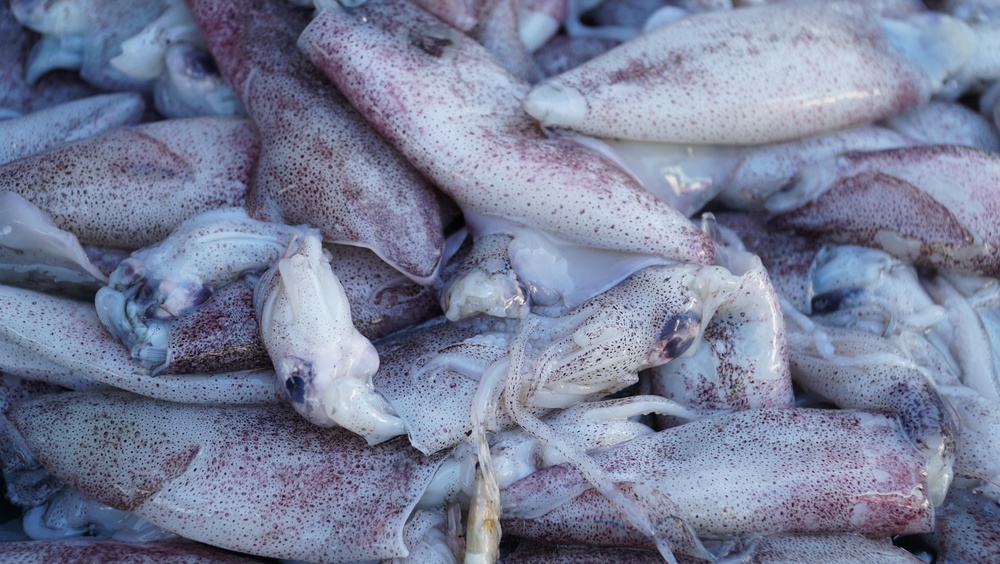 40,000 Pounds of Squid Spill Onto Rhode Island Roadway After Tractor-Trailer Rollover