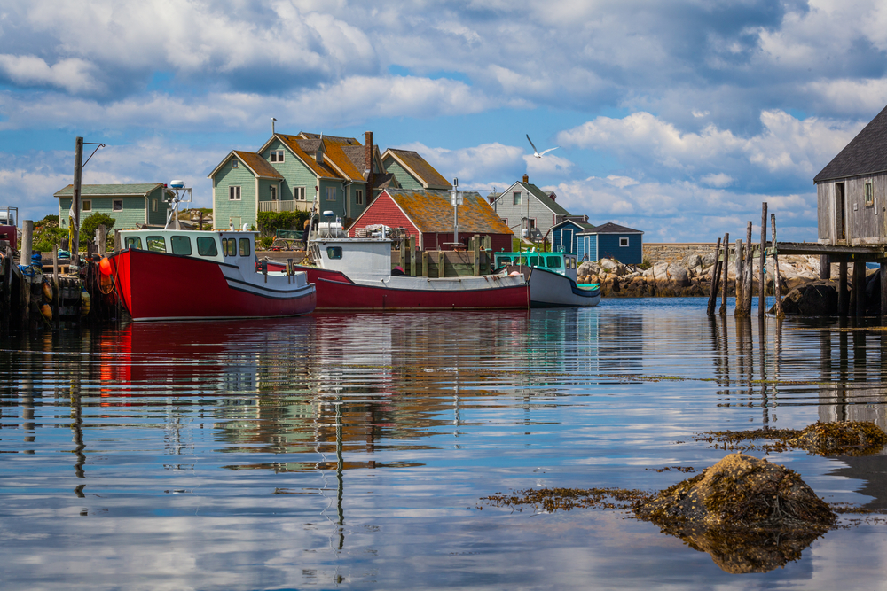 Could a Weird-Looking Patty Save the Lobster Industry