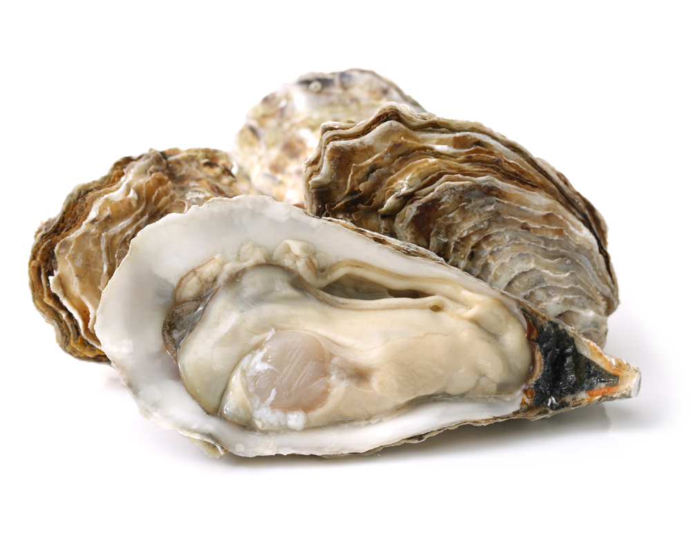 Japan’s General Oyster Inc. Sells Norovirus-Free Oysters